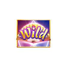 สัญลักษณ์ Wild