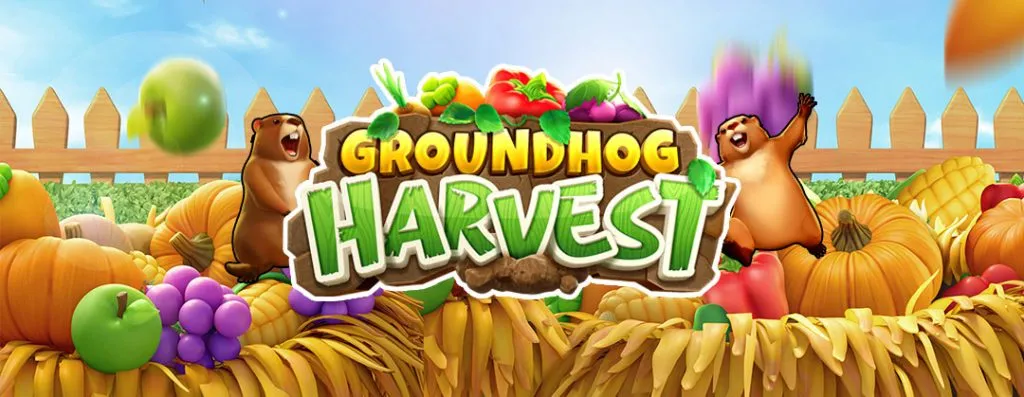 GROUNDHOG HARVEST