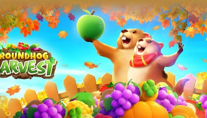 Groundhog-Harvest