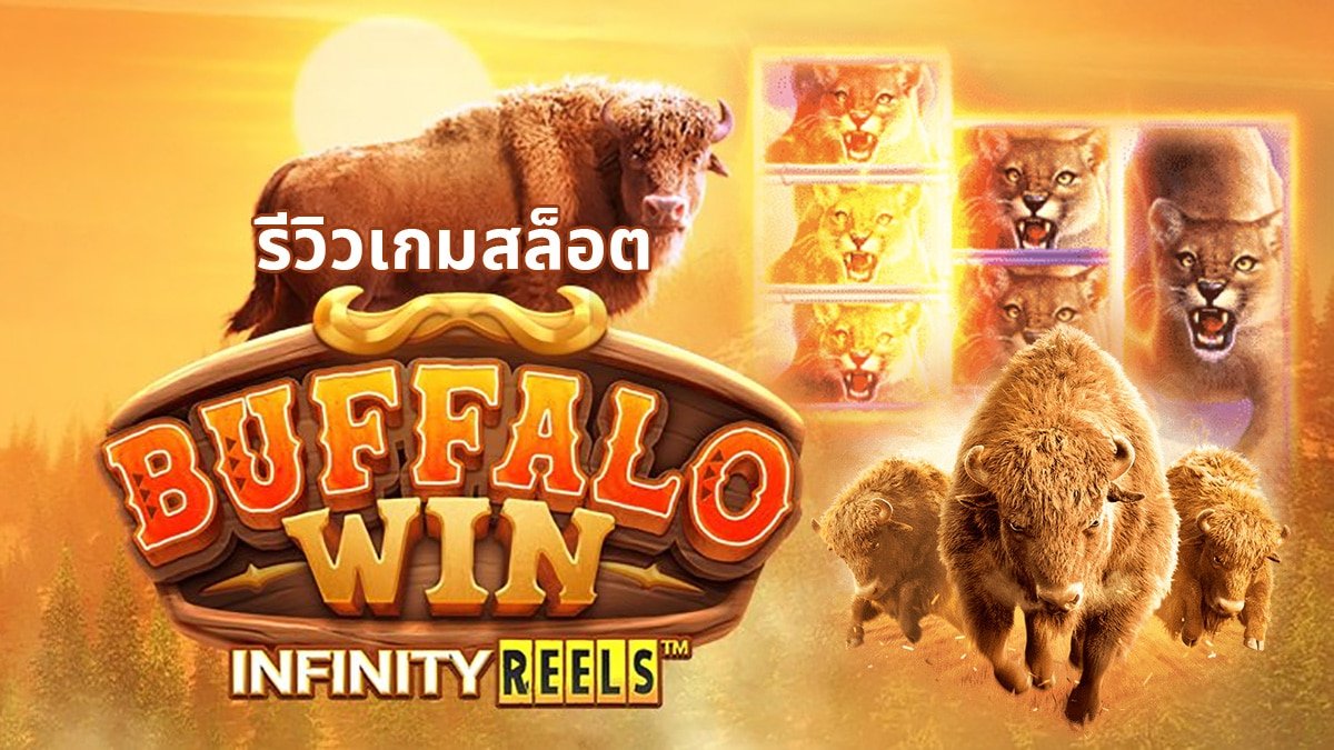 BUFFALO-WIN