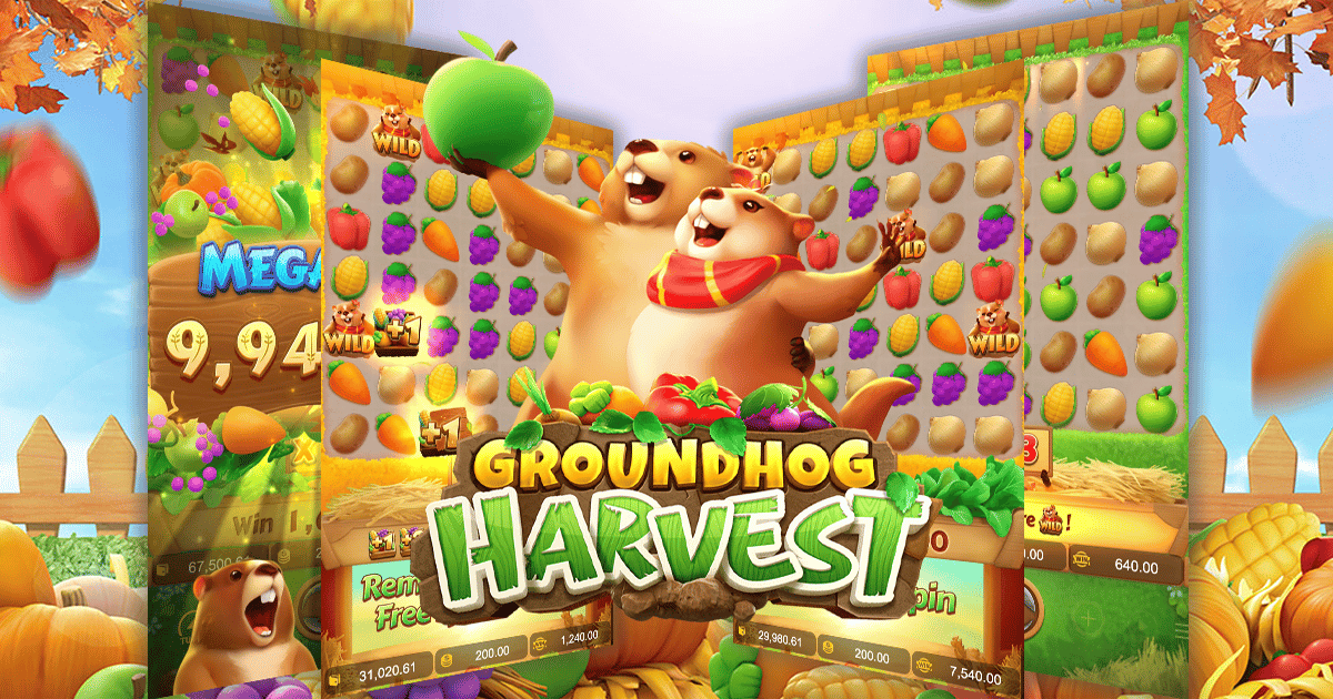 รีวิวเกม Groundhog Harvest ค่าย PG SLOT